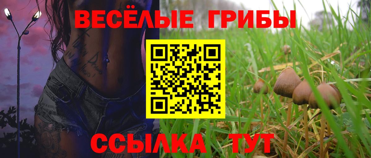 Югорск  Псилоцибиновые грибы Cubensis  Вход с VPN  Галлюциногенные грибы Psilocybe 